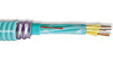 Superior Essex Cable Interlock Armored 3mm Microarray Breakout OFCR/OFCP Cable
