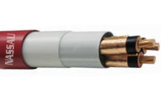 CEI MV-1-2-2-10M Cable, RJ45 Straight (Standard Profile) to RJ45